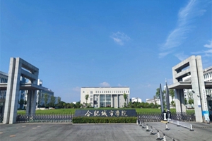 合肥城市学院
